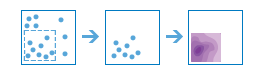 _images/calculate_density_standard.png